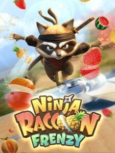 Ninja Raccoon Frenzy