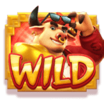 สัญลักษณ์พิเศษ-wild